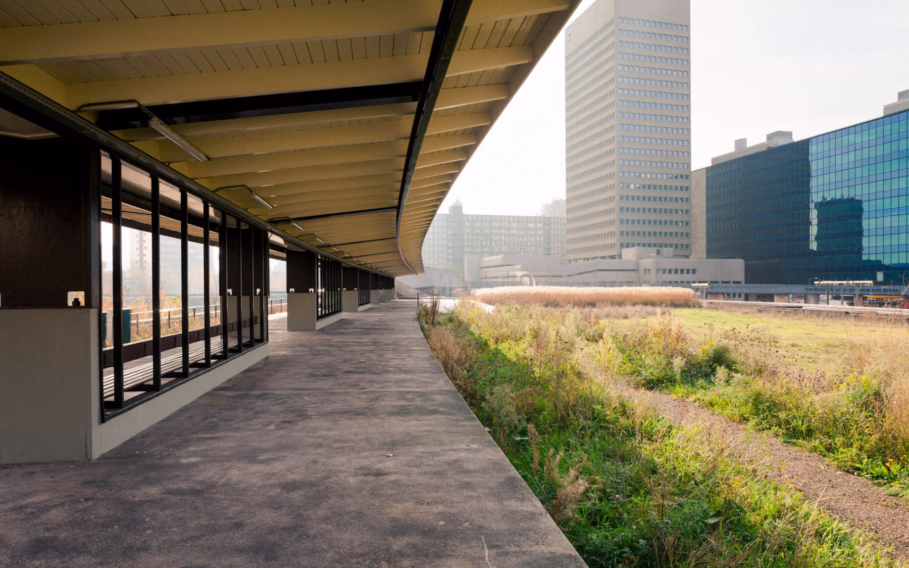 Render of the outside of the Be water, my friend project